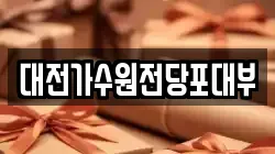 대전가수원전당포대부