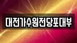 대전가수원전당포대부