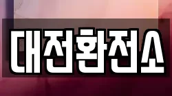 대전환전소