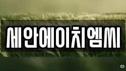 세안에이치엠씨