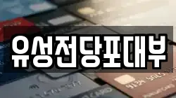 유성전당포대부