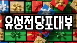 유성전당포대부