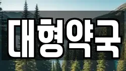 대형약국