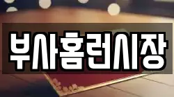 부사홈런시장