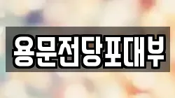 용문전당포대부