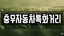 충무자동차특화거리