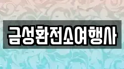 금성환전소여행사