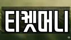 티켓머니