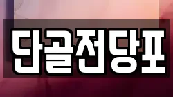 단골전당포