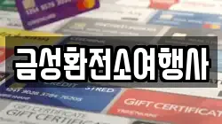 금성환전소여행사