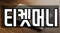 티켓머니