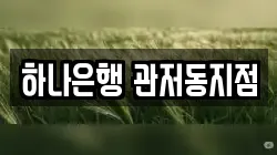 하나은행 관저동지점