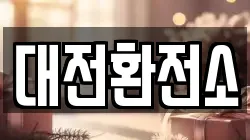 대전환전소