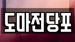 도마전당포