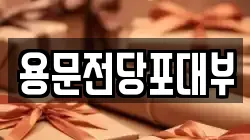 용문전당포대부