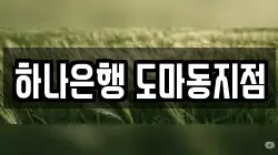 하나은행 도마동지점