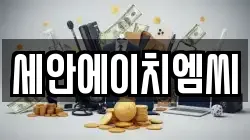 세안에이치엠씨