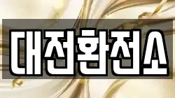 대전환전소