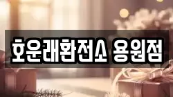 호운래환전소 용원점