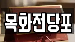 목화전당포