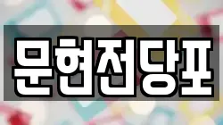 문현전당포