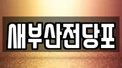 새부산전당포