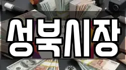 성북시장