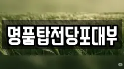 부산광역시 동구 수정동 전당포, 상품권판매, 상품권매매, 환전