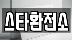 스타환전소