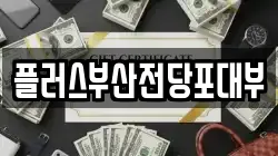 플러스부산전당포대부