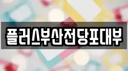 플러스부산전당포대부