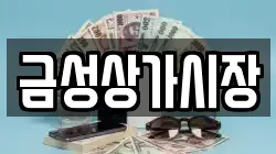 금성상가시장