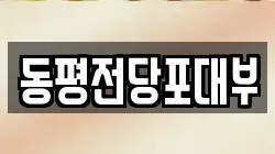 동평전당포대부