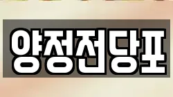 양정전당포