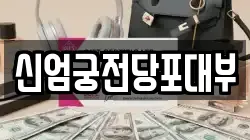 신엄궁전당포대부