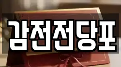 감전전당포