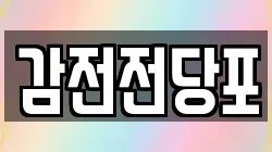 감전전당포