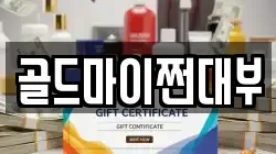 골드마이쩐대부
