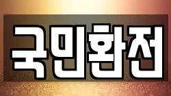 국민환전