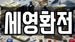 세영환전