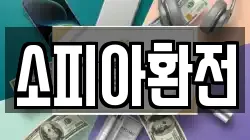 소피아환전