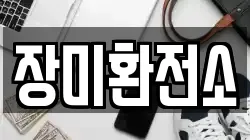 장미환전소