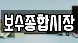 보수종합시장