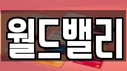 월드밸리