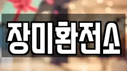 장미환전소