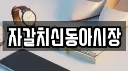 자갈치신동아시장