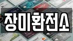 장미환전소