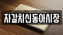 자갈치신동아시장