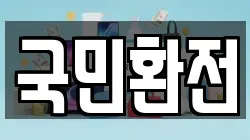 국민환전