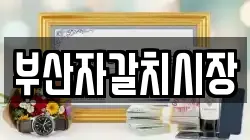부산자갈치시장